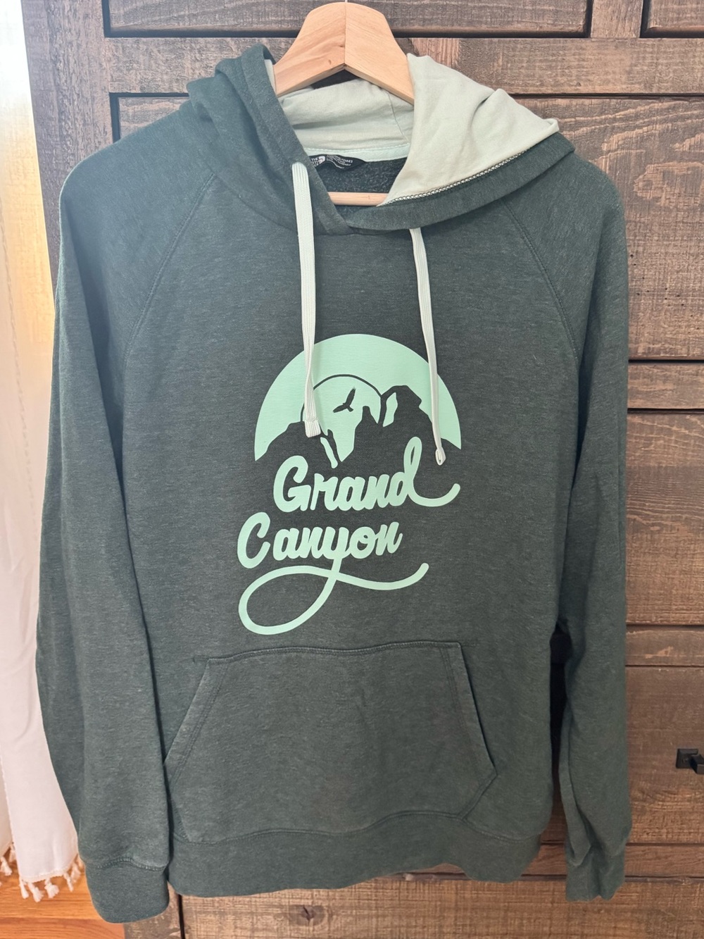 The North Face Men's Hoodie with Mint Grand Canyon Logo - Dark Green
